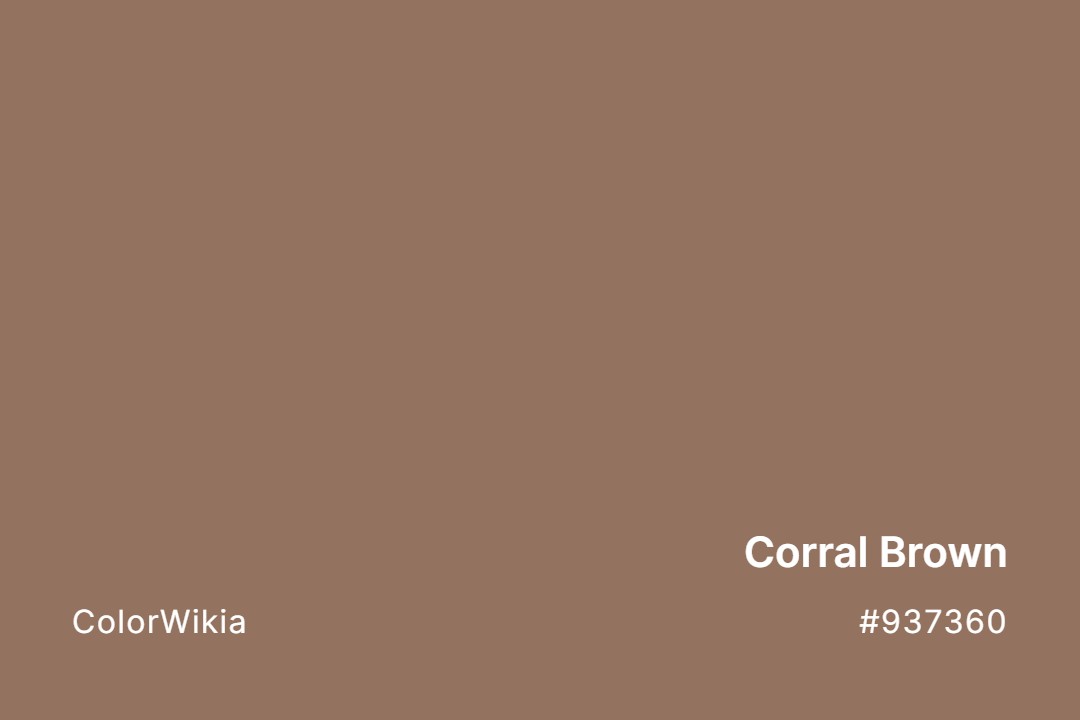 Corral Brown Color – #937360: Codes and Complete Breakdown
