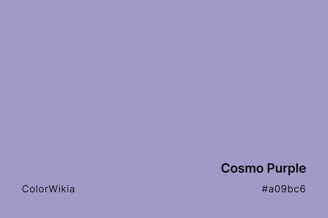 Cosmo Purple Color – #a09bc6: Codes and Complete Breakdown
