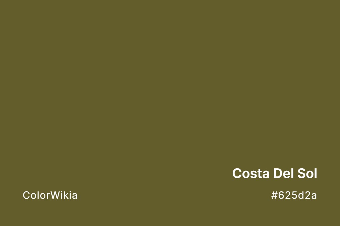 Costa Del Sol Color – #625d2a: Codes and Complete Breakdown