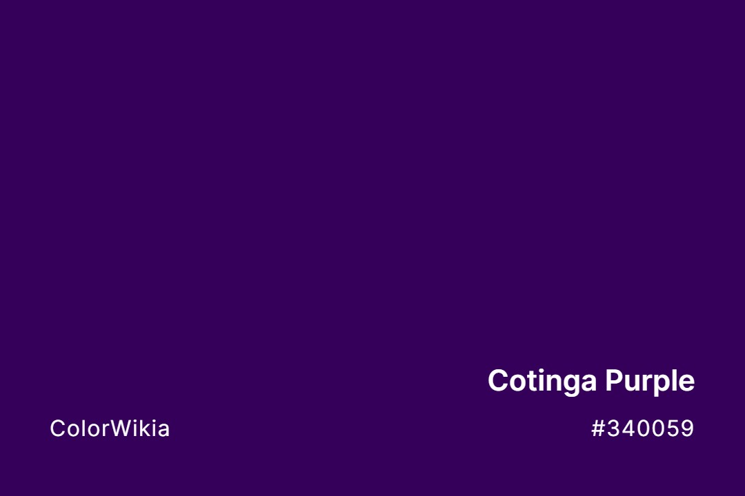 Cotinga Purple Color – #340059: Codes and Complete Breakdown