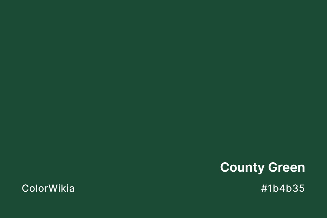 County Green Color – #1b4b35: Codes and Complete Breakdown