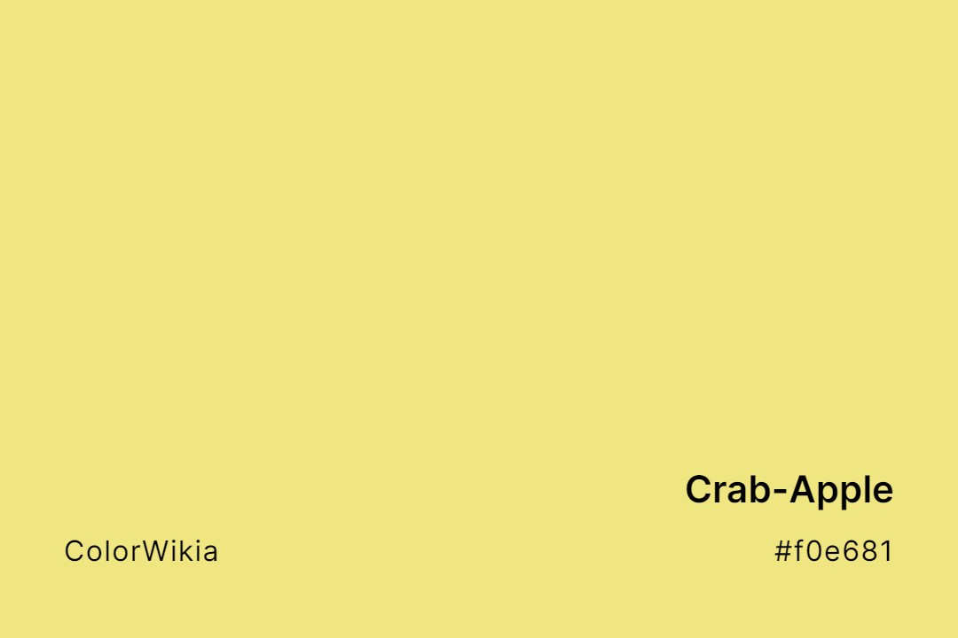 Crab-Apple Color – #f0e681: Codes and Complete Breakdown