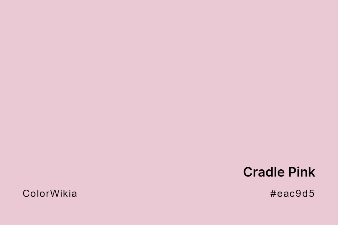 Cradle Pink Color – #eac9d5: Codes and Complete Breakdown