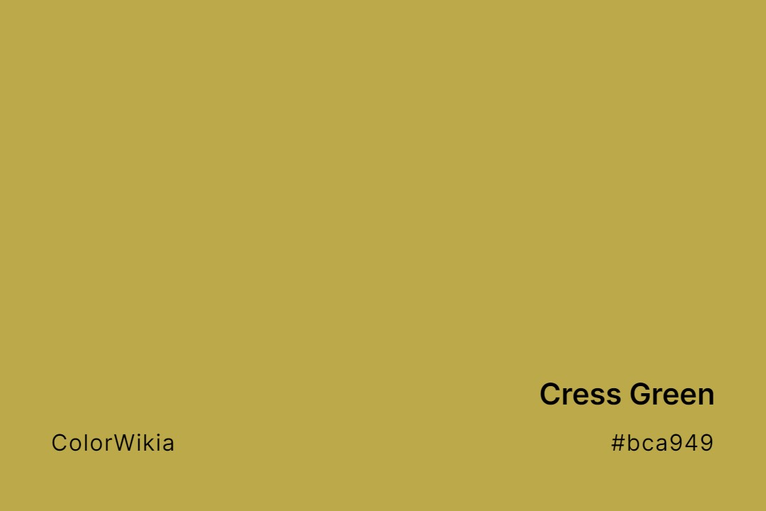 Cress Green Color – #bca949: Codes and Complete Breakdown
