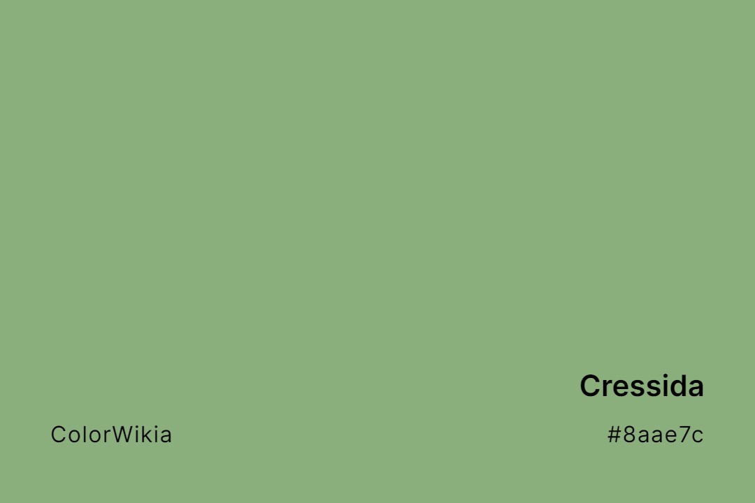 Cressida Color – #8aae7c: Codes and Complete Breakdown