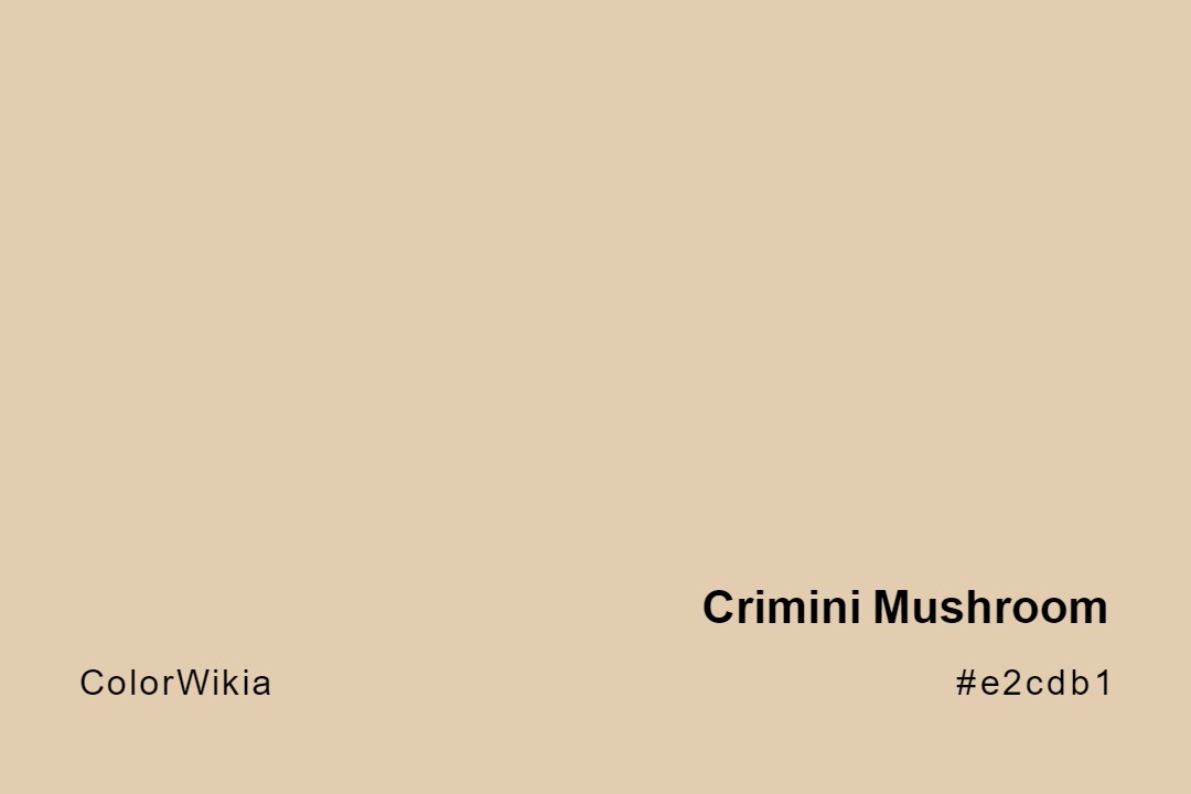 Crimini Mushroom Color – #e2cdb1: Codes and Complete Breakdown