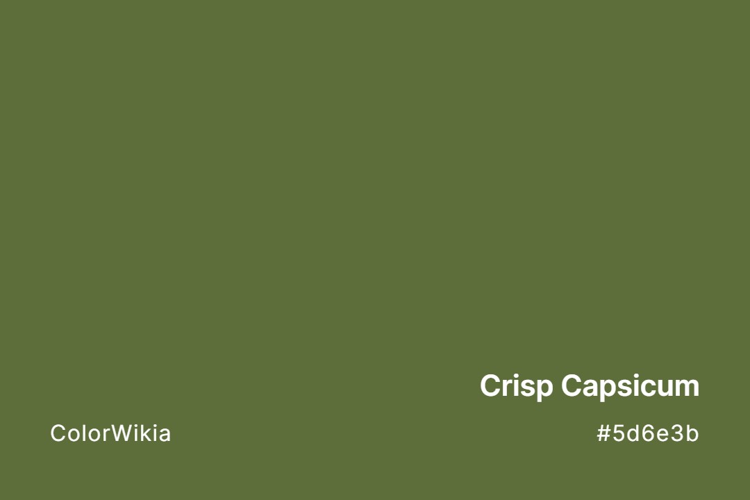 Crisp Capsicum Color – #5d6e3b: Codes and Complete Breakdown