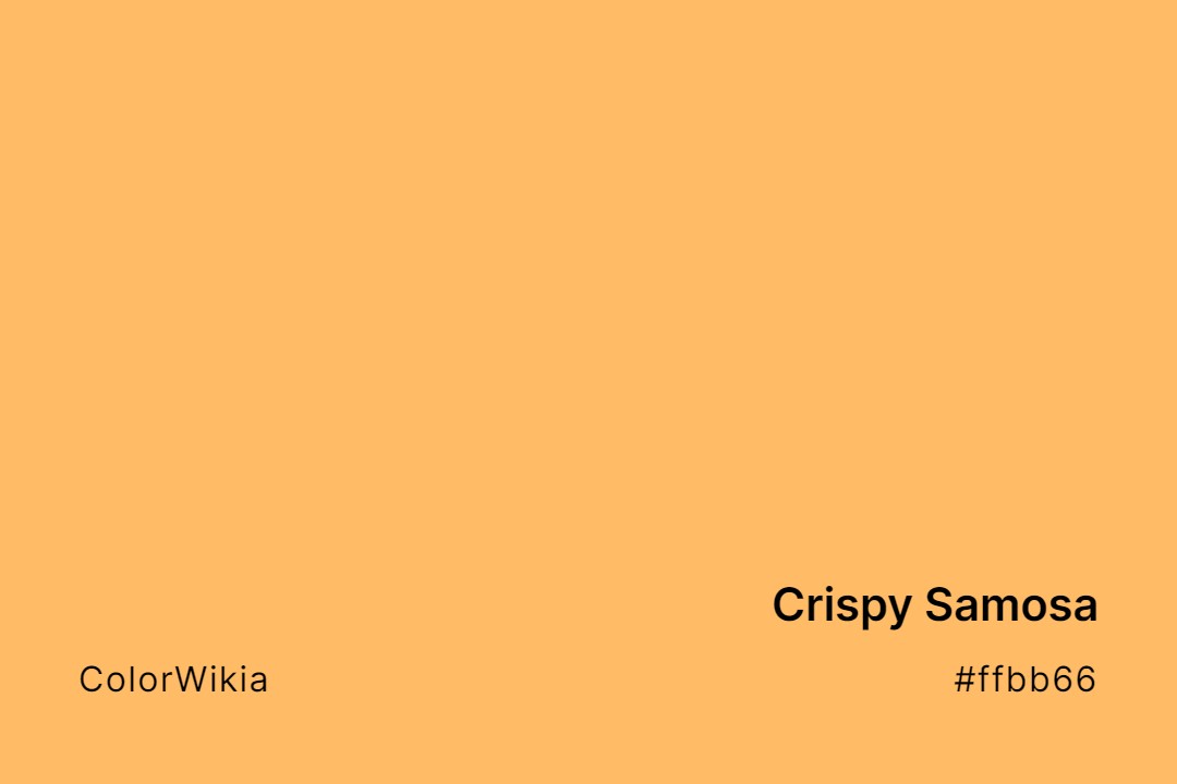 crispy samosa color ffbb66