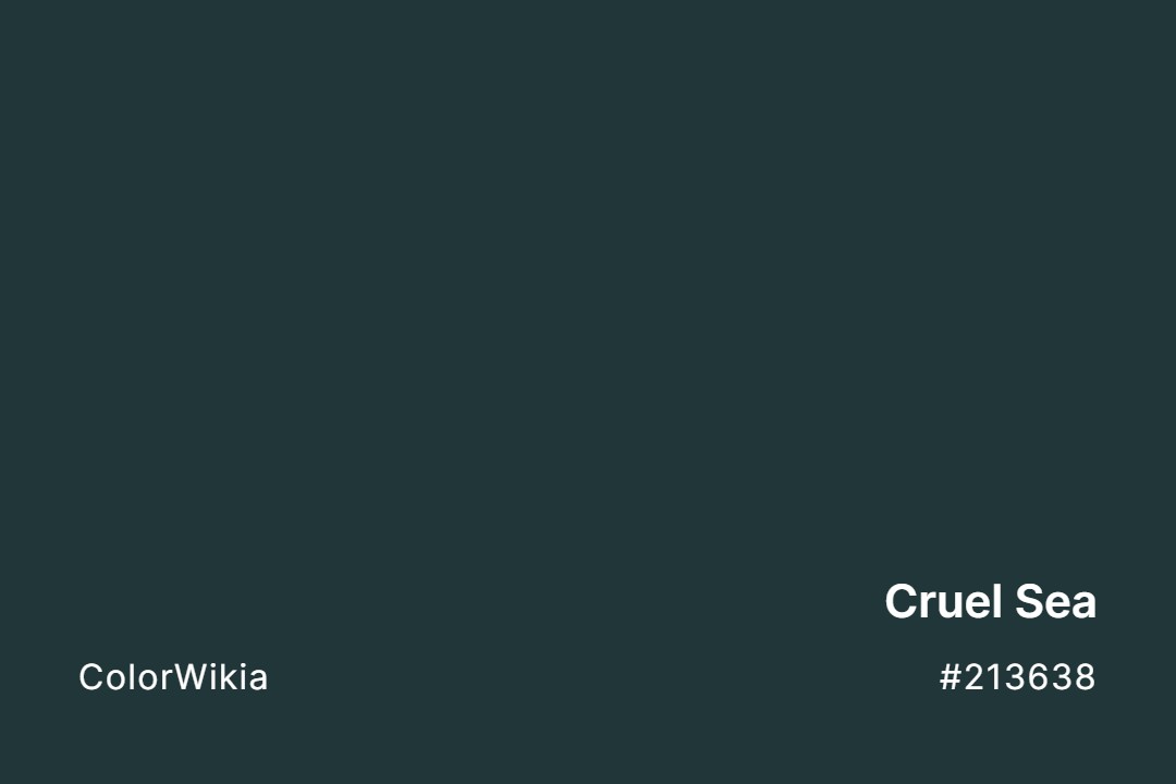 Cruel Sea Color – #213638: Codes and Complete Breakdown