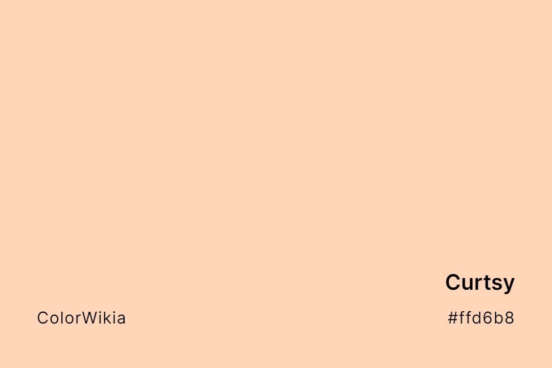 Curtsy Color – #ffd6b8: Codes and Complete Breakdown