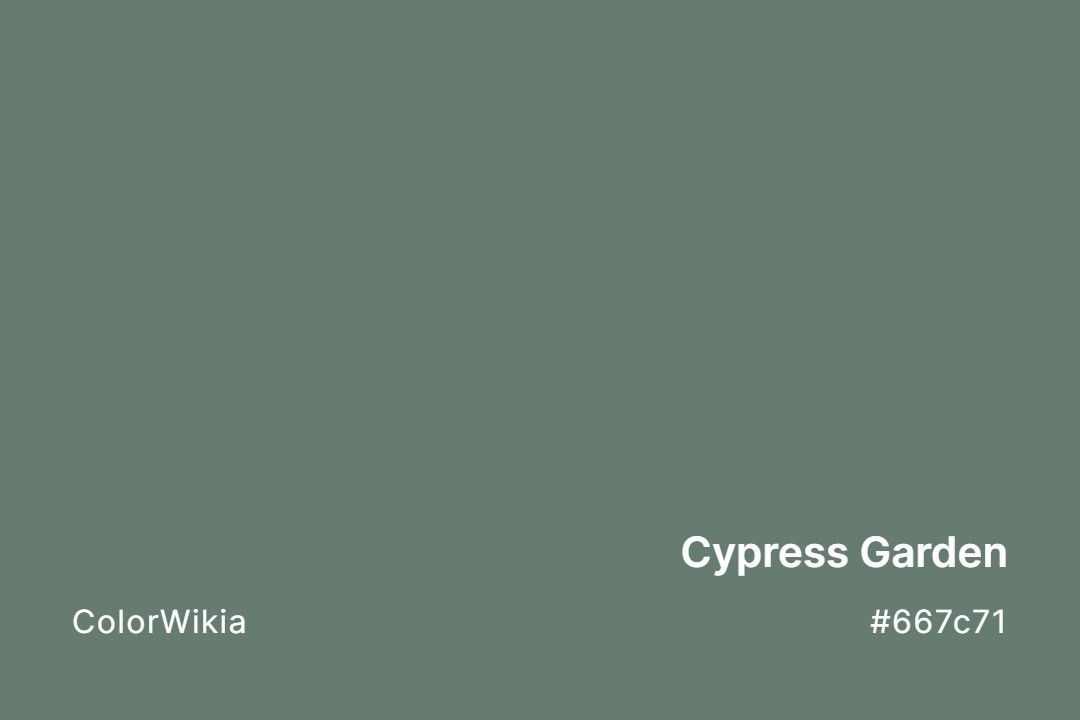 Cypress Garden Color – #667c71: Codes and Complete Breakdown