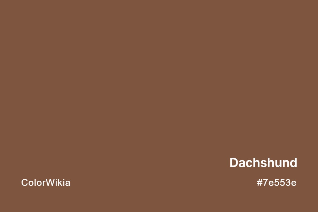 Dachshund Color – #7e553e: Codes and Complete Breakdown