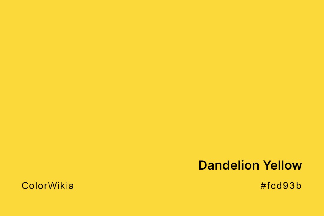 dandelion yellow color fcd93b