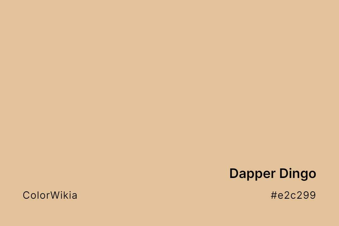Dapper Dingo Color – #e2c299: Codes and Complete Breakdown