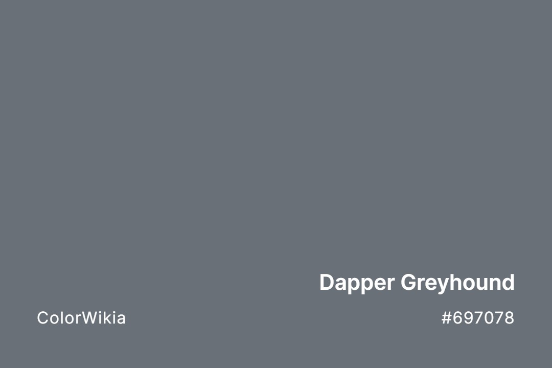 Dapper Greyhound Color – #697078: Codes and Complete Breakdown