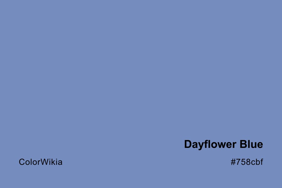 Dayflower Blue Color – #758cbf: Codes and Complete Breakdown