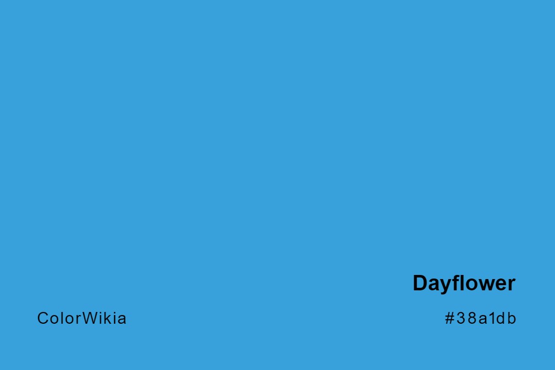 Dayflower Color – #38a1db: Codes and Complete Breakdown