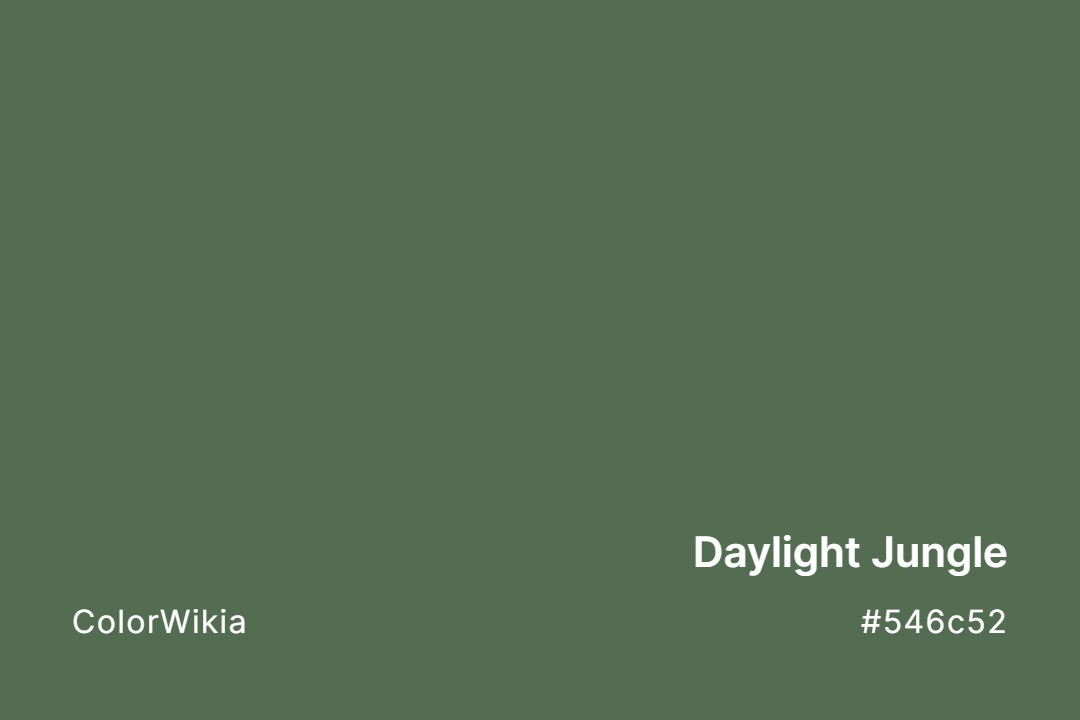 Daylight Jungle Color – #546c52: Codes and Complete Breakdown