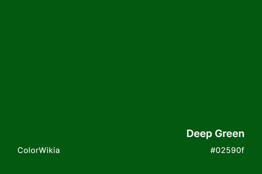 Deep Green Color – #02590f: Codes and Complete Breakdown