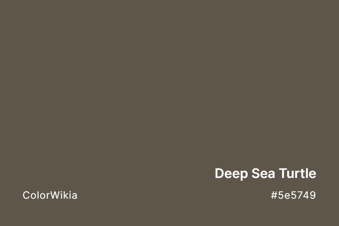 deep sea turtle color 5e5749