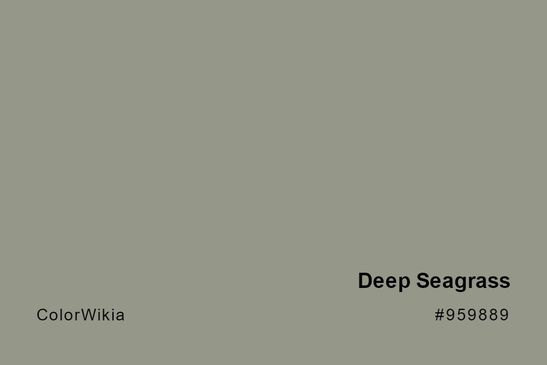 Deep Seagrass Color – #959889: Codes and Complete Breakdown