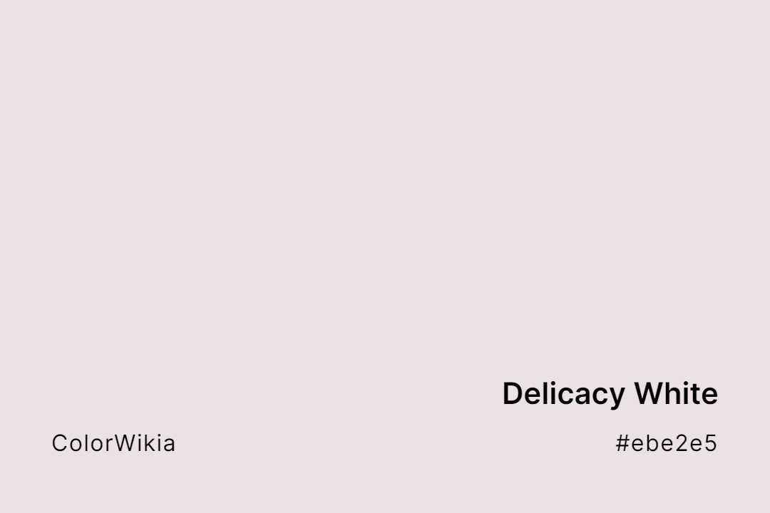 Delicacy White Color – #ebe2e5: Codes and Complete Breakdown