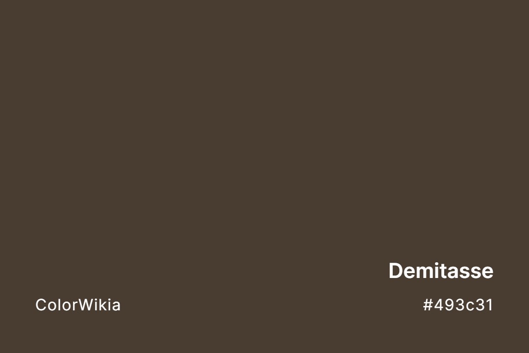 Demitasse Color – #493c31: Codes and Complete Breakdown