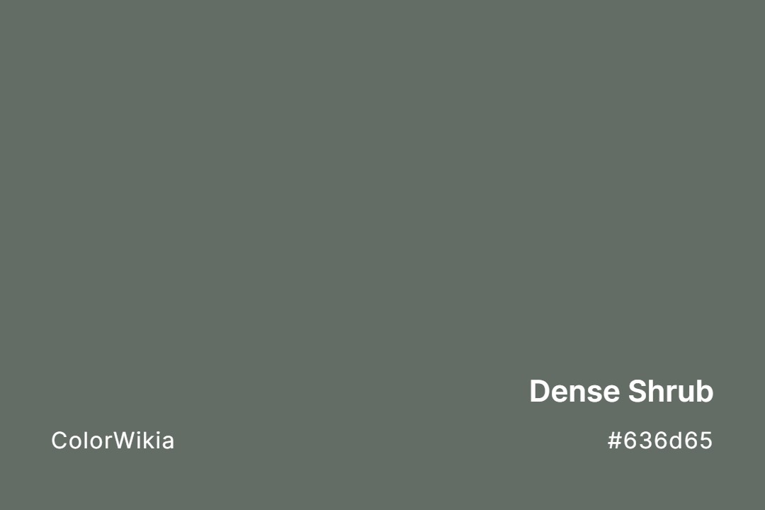 Dense Shrub Color – #636d65: Codes and Complete Breakdown