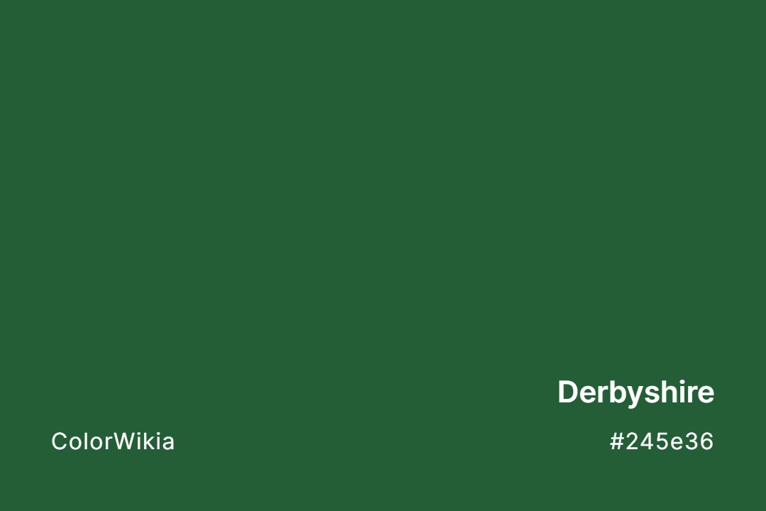 Derbyshire Color – #245e36: Codes and Complete Breakdown