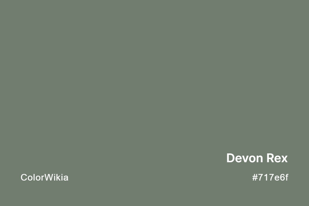 Devon Rex Color – #717e6f: Codes and Complete Breakdown