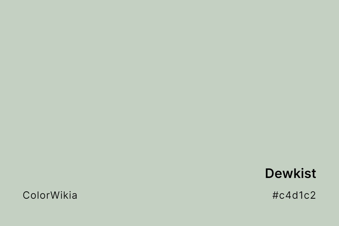 Dewkist Color – #c4d1c2: Codes and Complete Breakdown