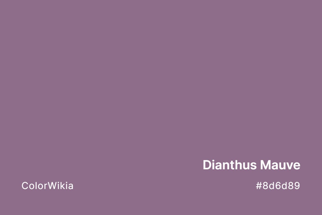Dianthus Mauve Color – #8d6d89: Codes and Complete Breakdown