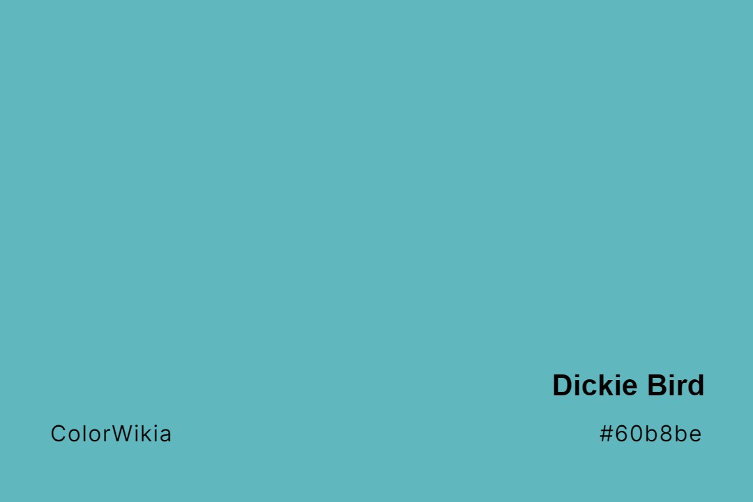 Dickie Bird Color – #60b8be: Codes and Complete Breakdown