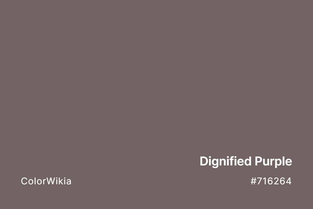 Dignified Purple Color – #716264: Codes and Complete Breakdown