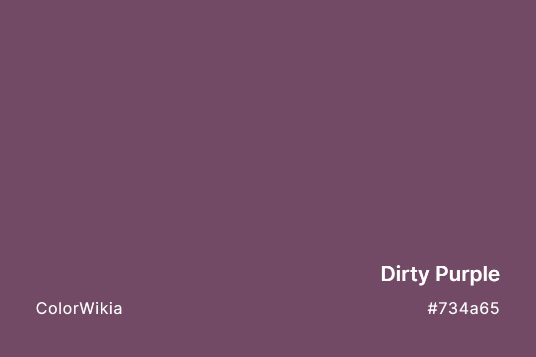 dirty purple color 734a65