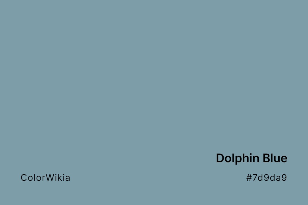 Dolphin Blue Color – #7d9da9: Codes and Complete Breakdown