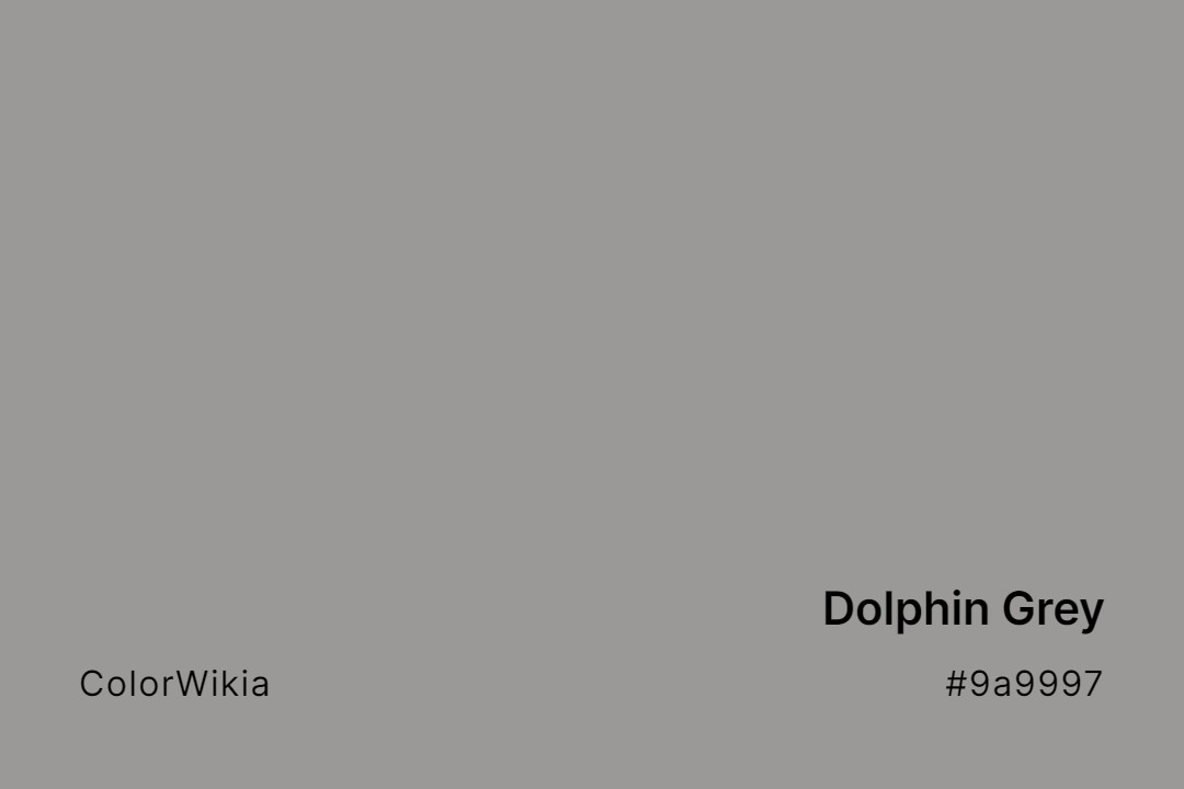 Dolphin Grey Color – #9a9997: Codes and Complete Breakdown