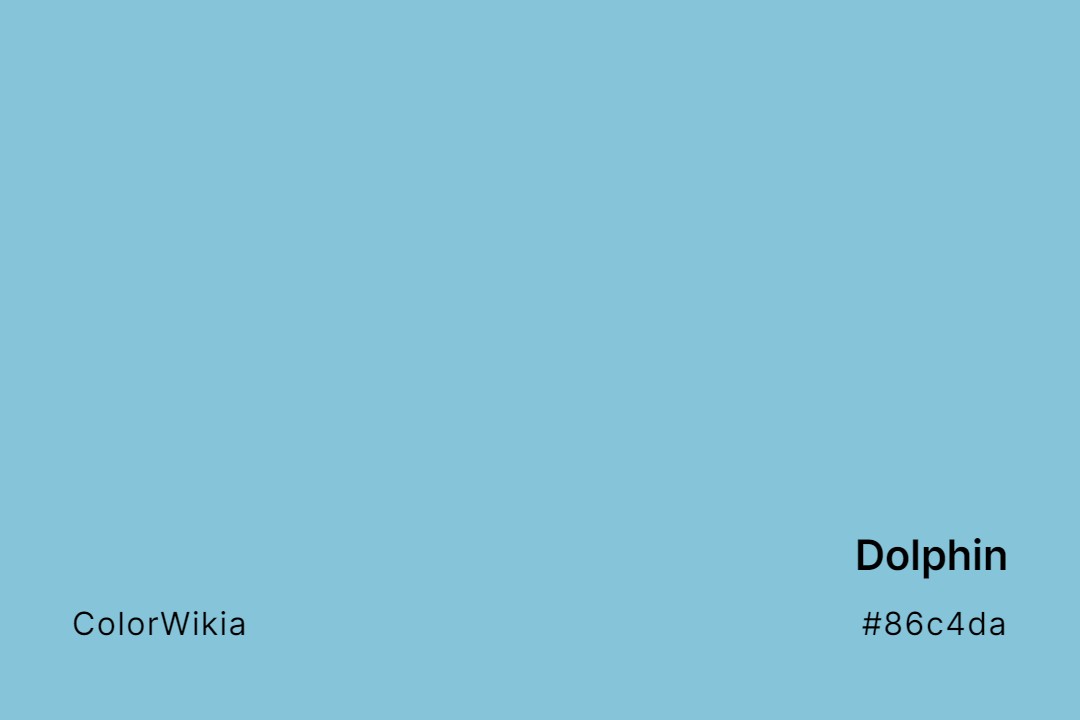 Dolphin Color – #86c4da: Codes and Complete Breakdown
