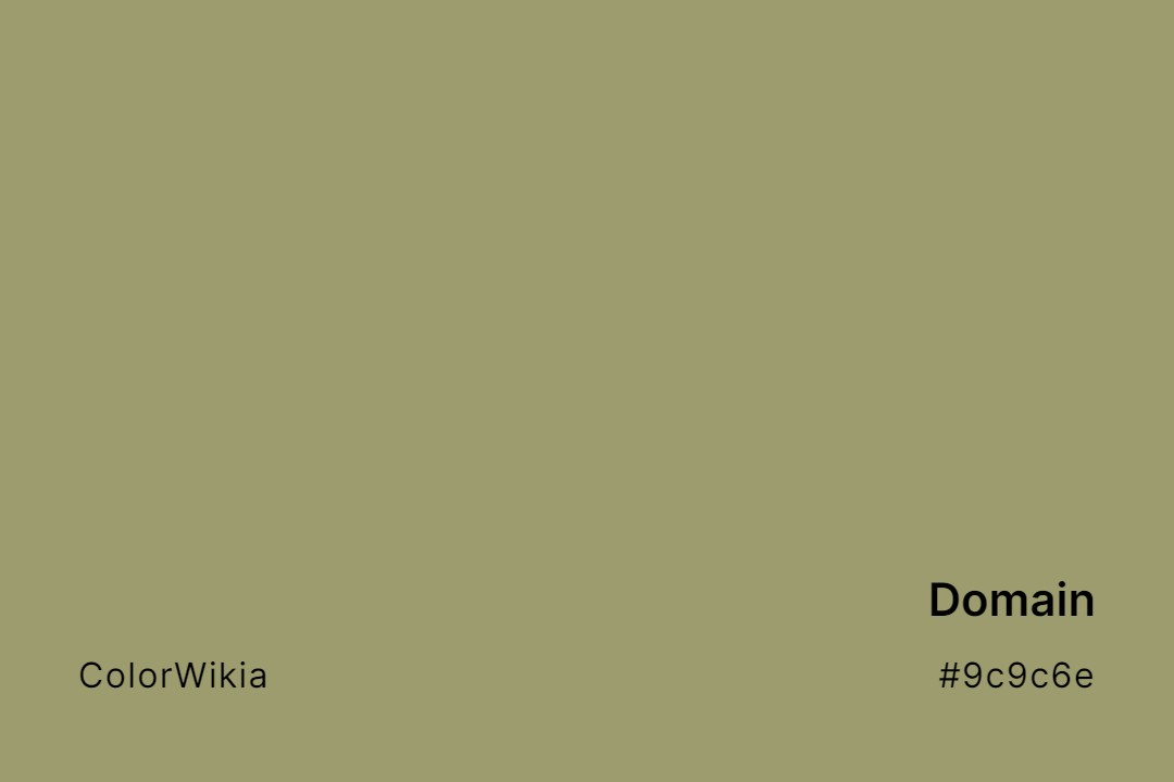 Domain Color – #9c9c6e: Codes and Complete Breakdown