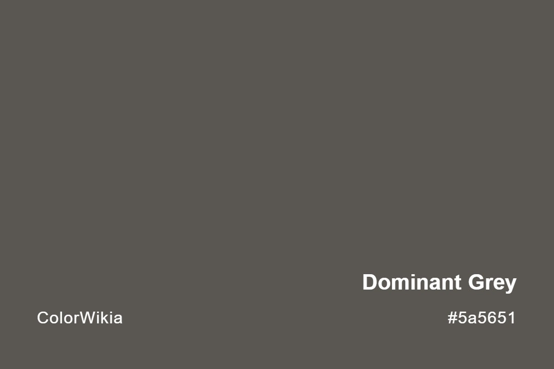 Dominant Grey Color – #5a5651: Codes and Complete Breakdown