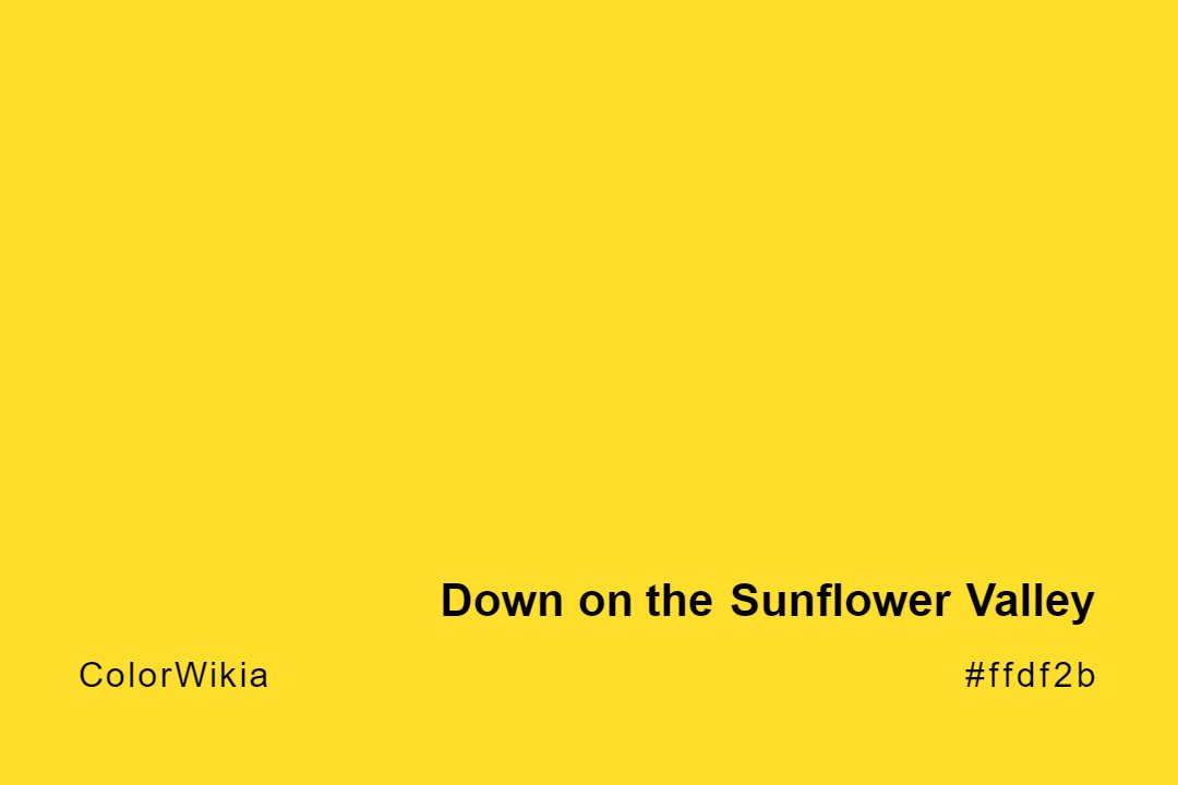 down on the sunflower valley color ffdf2b