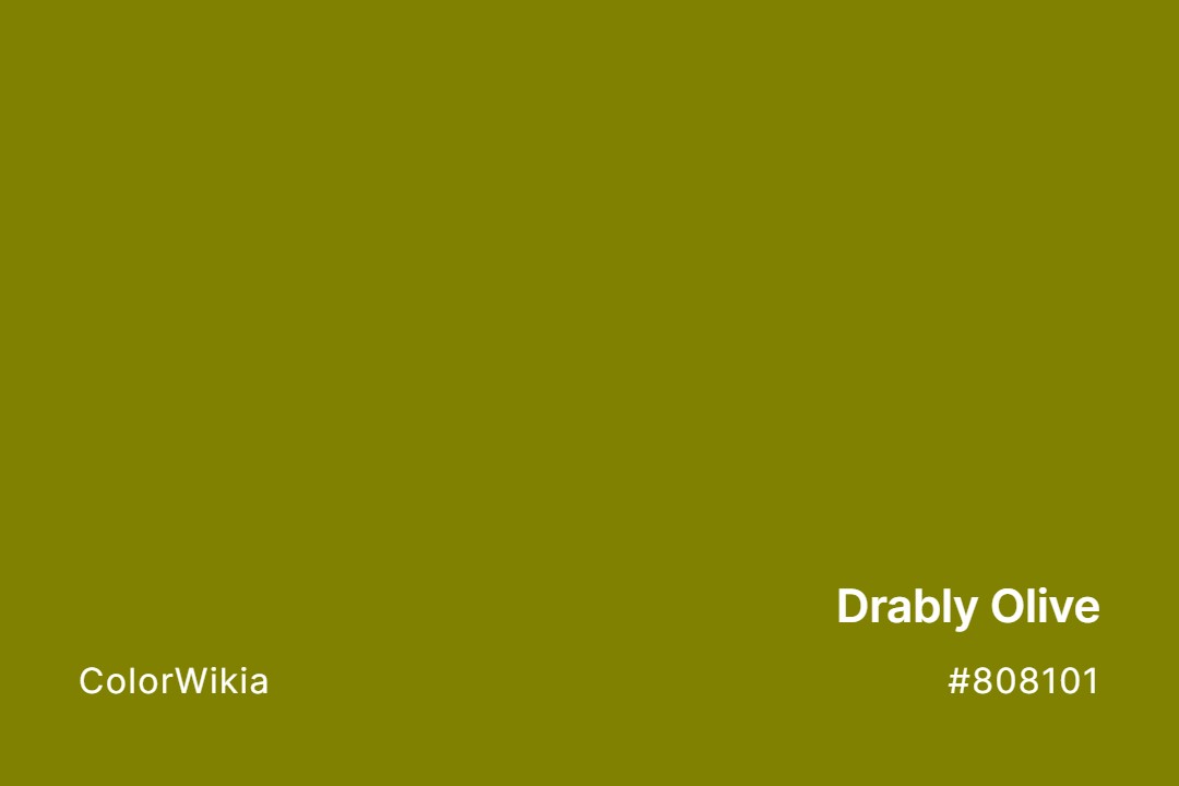 Drably Olive Color – #808101: Codes and Complete Breakdown