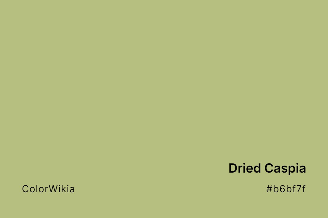 Dried Caspia Color – #b6bf7f: Codes and Complete Breakdown