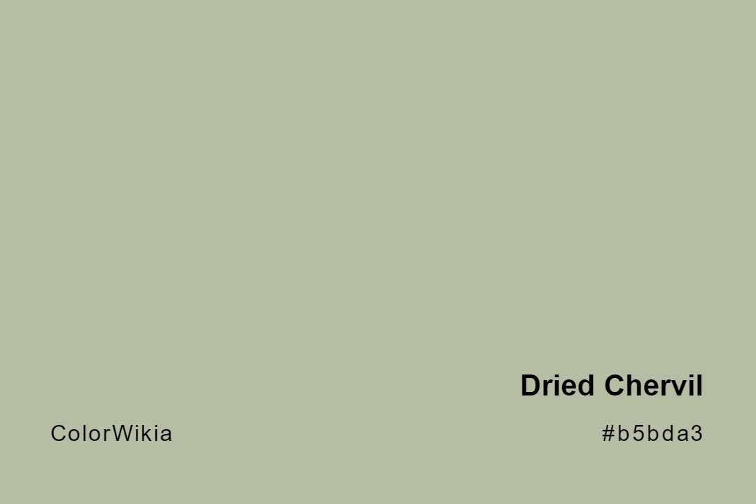 Dried Chervil Color – #b5bda3: Codes and Complete Breakdown