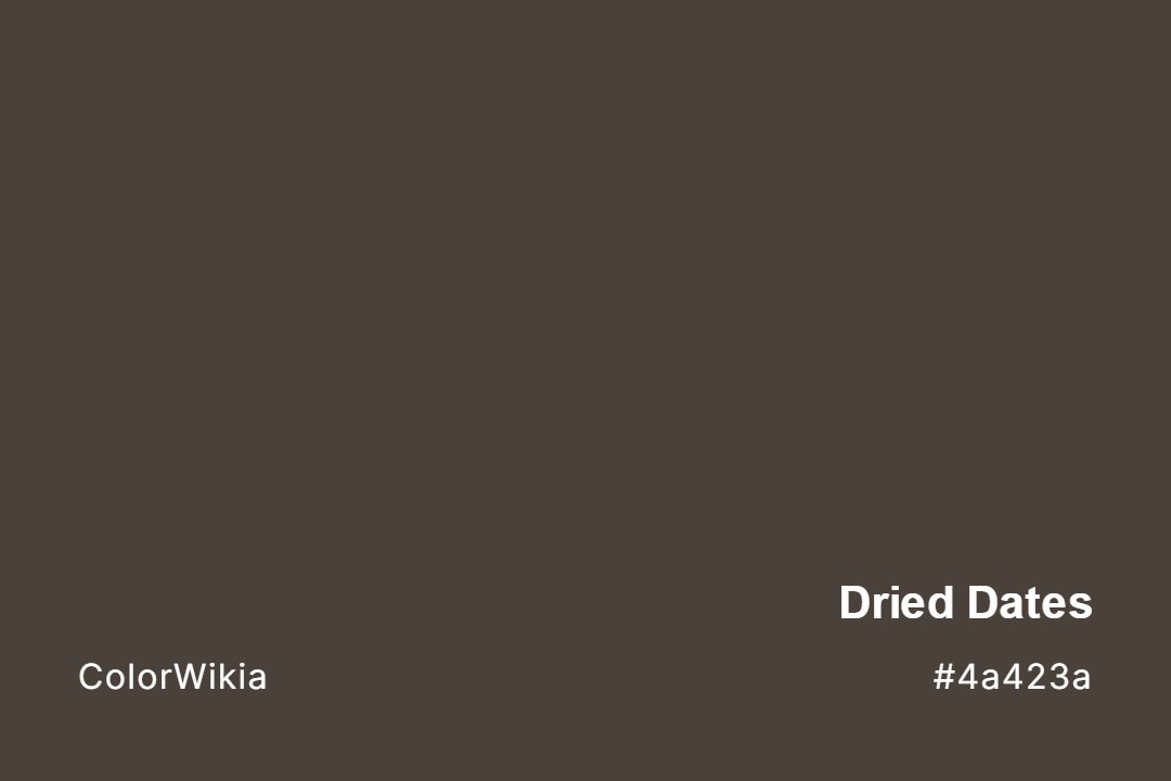 Dried Dates Color – #4a423a: Codes and Complete Breakdown