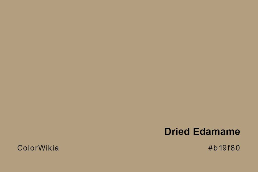 Dried Edamame Color – #b19f80: Codes and Complete Breakdown