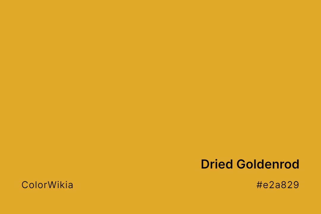 Dried Goldenrod Color – #e2a829: Codes and Complete Breakdown