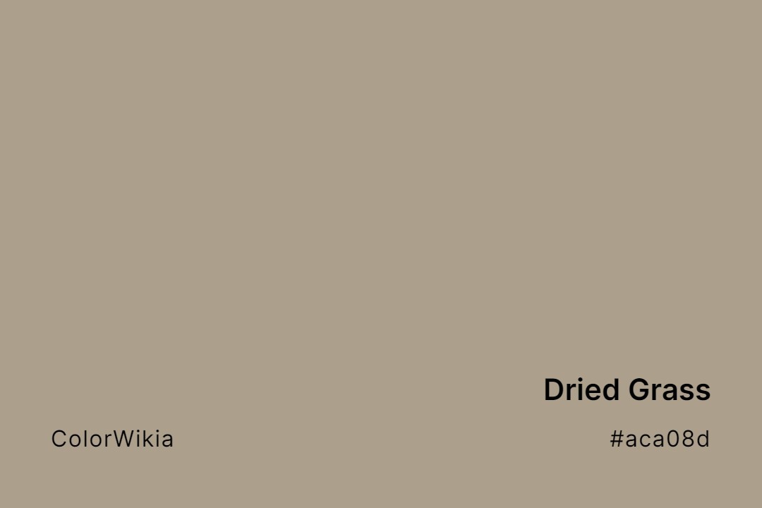dried grass color aca08d