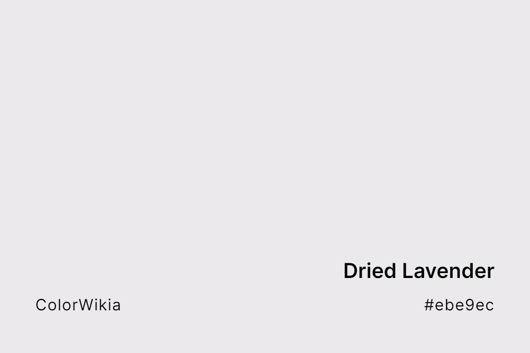 Dried Lavender Color – #ebe9ec: Codes and Complete Breakdown