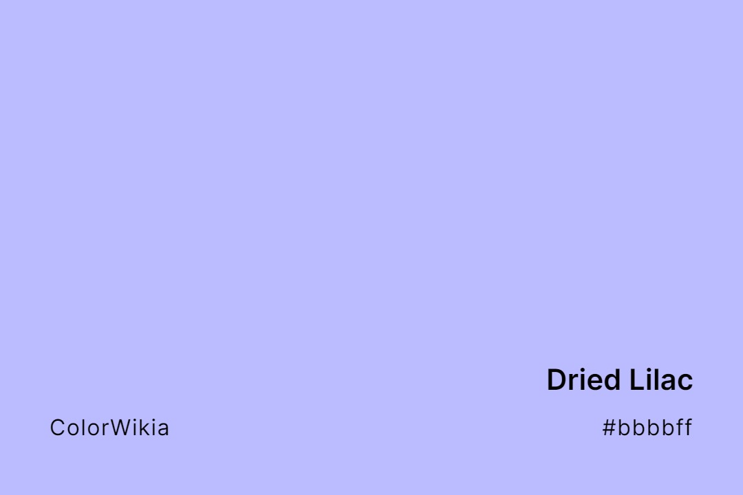 Dried Lilac Color – #bbbbff: Codes and Complete Breakdown